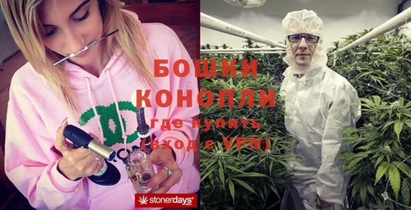 индика Алексеевка