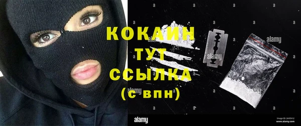 ECSTASY Алзамай