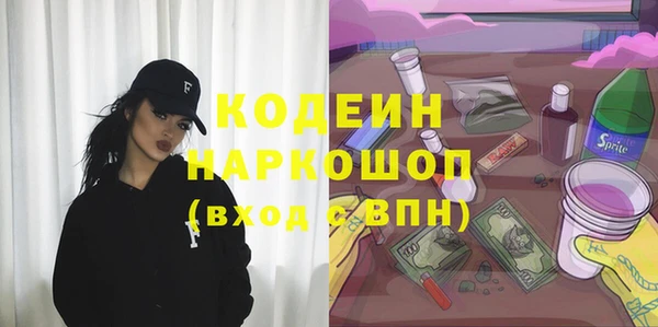 индика Алексеевка