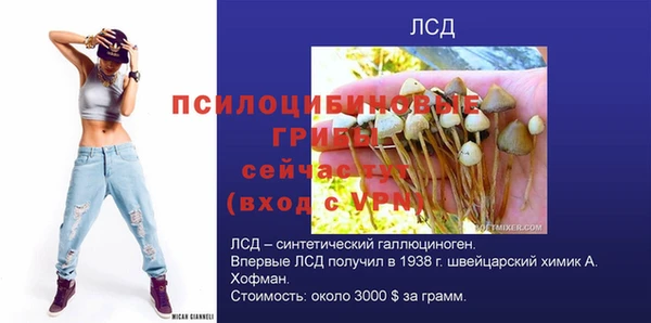 ECSTASY Алзамай
