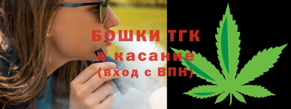 индика Алексеевка