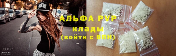 индика Алексеевка