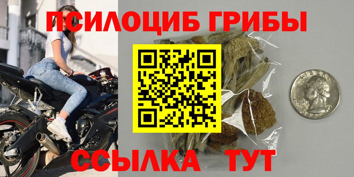 Моздок  Галлюциногенные грибы прущие грибы  Вход с VPN  Галлюциногенные грибы мухоморы 